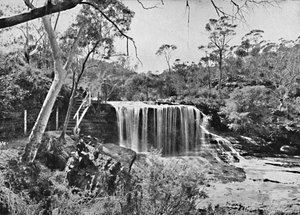 Płacząca Skała w Wentworth Falls, Blue Mountains, ok. 1900. autorstwa Unbekannt