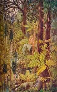 Gigantyczna roślinność epoki karbonu, 1907. autorstwa Unbekannt