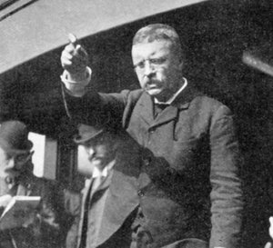 Theodore Roosevelt przemawiający na spotkaniu w stanie Nowy Jork, 1901 r. autorstwa Unbekannt