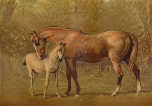 Klacz pełnej krwi i źrebię, ok. 1879. autorstwa Unbekannt