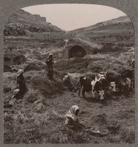 Młócenie zboża w pobliżu studni Jacobs, ok. 1900 r. autorstwa Unbekannt