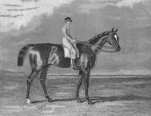 Probierz, 1831-1861, 1911 autorstwa Unbekannt