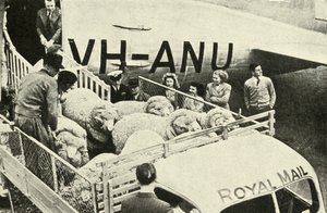 Transport taranów nagrodami drogą powietrzną, c1948. autorstwa Unbekannt