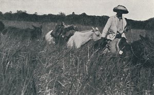 Podróż po Pampasach, 1916 autorstwa Unbekannt