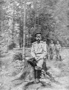 Car Mikołaj II na emigracji, Tobolsk, Syberia, 13 sierpnia 1917 autorstwa Unbekannt