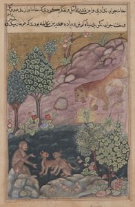 Tuti-Nama Opowieści papugi: Opowieść XXIX, Lew wraca na swoje terytorium i patrz, c. 1560. autorstwa Unbekannt