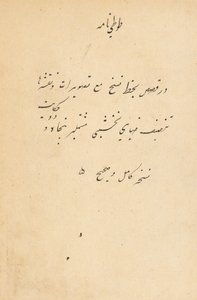 Tuti-Nama Opowieści papugi, c. 1560. autorstwa Unbekannt