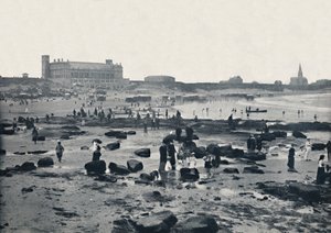 Tynemouth - Akwarium i Piaski, 1895 autorstwa Unbekannt