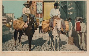 Warzywa, Hawana, Kuba, 1904 autorstwa Unbekannt