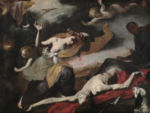 Wenus odkrywa martwego Adonisa 1650. autorstwa Unbekannt