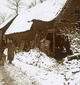 Stacja weterynaryjna dla koni, Calonne, północna Francja, c1914-c1918 autorstwa Unbekannt