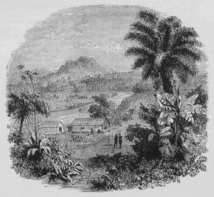 Widok w Cayenne, ok. 1880 autorstwa Unbekannt