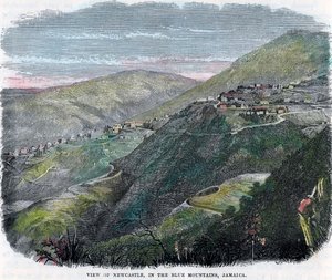 Widok na Newcastle, w Górach Błękitnych, Jamajka, ok. 1880 r. autorstwa Unbekannt