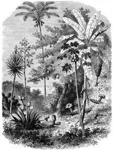 Widok na hiszpański Main, Gwatemala, 1877 autorstwa Unbekannt