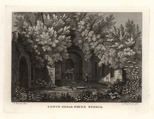 Widok źródła nimfy Egeria, Fonte della Ninfa Egeria, Parco Cafarella, Rzym autorstwa Unbekannt