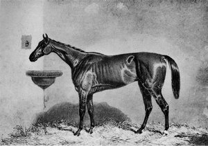 Virago, 1851-1869, 1911 autorstwa Unbekannt