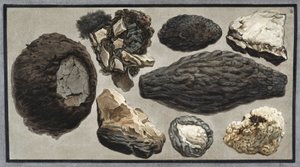 Materiał wulkaniczny z Wezuwiusza autorstwa Unbekannt