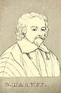 W. Harvey, 1578-1657, 1830. autorstwa Unbekannt