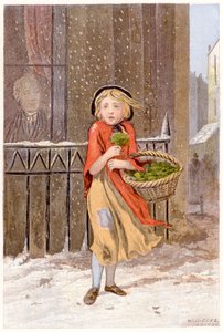 Sprzedawca rukwi wodnej, c1880 autorstwa Unbekannt