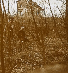 Drewno, c1914-c1918 autorstwa Unbekannt