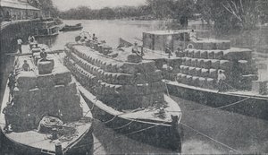 Barki wełniane na rzece Murray, 1923. autorstwa Unbekannt