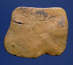 Renifer, ryty rysunek na wapieniu, paleolicie, magdalen V, z Laugerie Basse, Dordogne, ok. 12000 p.n.e. autorstwa Unbekannt Unbekannt