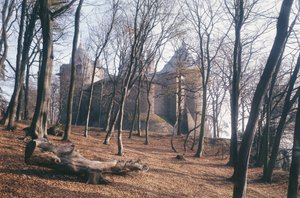 Widok z lasu na zamek Coch w południowej Walii autorstwa Unbekannt Unbekannt