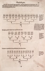 Proste i łatwe wprowadzenie do praktycznej muzyki, autorstwa Unbekannt