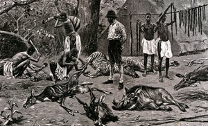 Wspaniały dzień na polowanie! 1900 (grawerunek) autorstwa Unbekannter Künstler