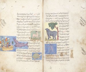 Strona z perskiego rękopisu „Aja”ib al-Makhluqat wa Ghara”ib al-Maujudat autorstwa Unbekannt