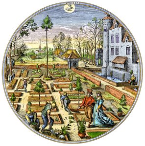 Rolnictwo: Ogrodnictwo w europejskim ogrodzie warzywnym na początku wiosny około 1590 r. Kolorowa rycina z XVI wieku autorstwa Unbekannter Künstler