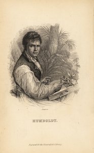 Alexander von Humboldt, niemiecki odkrywca, przyrodnik i botanik autorstwa Unbekannt