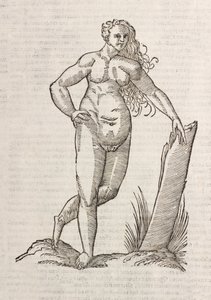 Androgynos autorstwa Unbekannt
