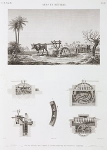Animal Power Nawadnianie zasilane przez zwierzęta, Egipt, ok. 1798 autorstwa Unbekannt
