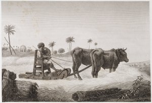 Rolnictwo, żniwa Młocarnia, Egipt, ok. 1798 r. autorstwa Unbekannt