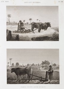 Rolnictwo, Orka Młocarnia i pług, Egipt, ok. 1798 autorstwa Unbekannt