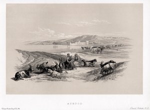 Ashdod By David autorstwa Unbekannter Künstler