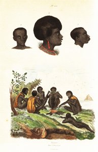 Australijscy Aborygeni i głowy tubylców z Waigeo, Papua Zachodnia 1834-1839 (rycina) autorstwa Unbekannter Künstler