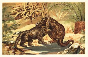 Bitwa pomiędzy Megalosaurus bucklandii a Iguanodon bernissar1908 (litografia) autorstwa Unbekannter Künstler