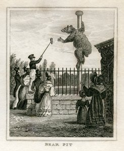 Niedźwiedzia jama - ogród zoologiczny Regent