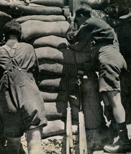Wojska brytyjskie walczące w spodenkach Khaki-drill, Półwysep Gallipoli autorstwa Unbekannt