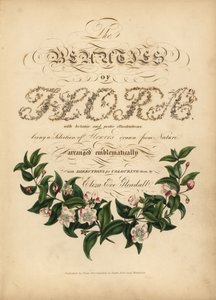 Kaligraficzna strona tytułowa z winietą botaniczną autorstwa Unbekannt