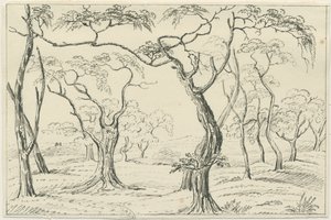 Cannock Chase: rysunek piórem i ołówkiem, bd [?XIX w.] autorstwa Unbekannt