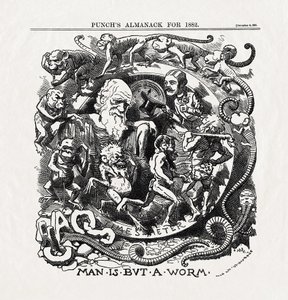 Karykatura na temat teorii ewolucji Karola Darwina (1809-1882): "Man is but a worm" (Człowiek jest tylko robakiem) z "Punch" 06/12/1881 r. autorstwa Unbekannter Künstler