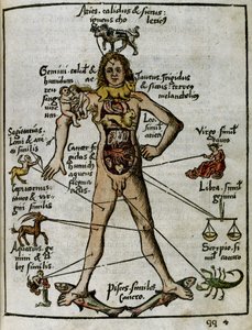 Kosmografia z XVI wieku: człowiek zodiaku autorstwa Unbekannt