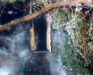 Psia grota pod Neapolem – psy dławią się dwutlenkiem węgla, a człowiek przeżywa autorstwa Unbekannter Künstler