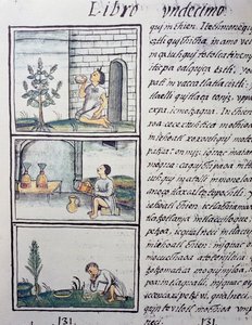 Rośliny jadalne, strona z księgi XI Kodeksu florenckiego, wersja dwujęzyczna po hiszpańsku i nahuatl, Ogólna historia rzeczy Nowej Hiszpanii, autorstwa hiszpańskiego misjonarza Fray Bernardino de Sahagun (1499-1590). Cywilizacja Azteków autorstwa William M. Timlin