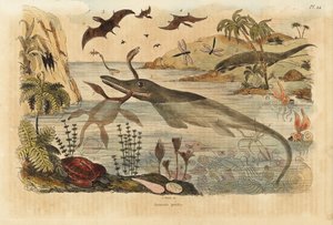 Wymarłe dinozaury, ichtiozaury, plezjozaury, zwierzęta morskie, pterodaktyle, jaszczurki, żółwie, owady, ryby, kalmary, mięczaki itp. autorstwa Unbekannt