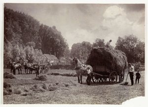Sceny rolnicze, zbiory i przechowywanie, sianokosy sprzed 1900 r., ok. 1890 r autorstwa Unbekannt