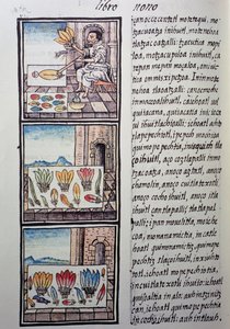Obróbka piór po podboju hiszpańskim, strona z Kodeksu florenckiego, dwujęzyczna wersja w języku hiszpańskim i nahuatl, Ogólna historia rzeczy w Nowej Hiszpanii, autorstwa hiszpańskiego misjonarza Fray Bernardino de Sahagun. Cywilizacja Azteków autorstwa William M. Timlin